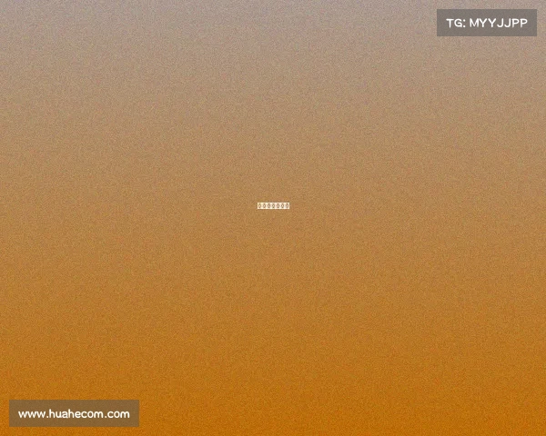 男篮世预赛时间