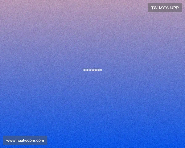 房车赛车赛事、房车大赛rr